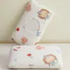 Fronha Pequena de Seda de Gelo para Crianças, Fronha Refrescante de Verão 30X50, Fronha para Travesseiro de Espuma de Memória de Látex 40X60, Ajuste Universal