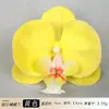 Cabeza de Flor de Orquídea Phalaenopsis Artificial Accesorio para el Cabello Hanfu Material Floral Hecho a Mano Accesorio de Flor Artificial Flor Eterna Flor de Seda