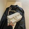 Bolsa de Corrente de Tecido Lã Estilo Chanel de Entrada Avançada de Luxo 2024 Novo Estilo Bolsa Bolsa de Axila Feminina