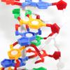 Modelo de Estructura de Doble Hélice de ADN con Base Estructura Molecular Equipo Experimental de Demostración de Biología de Secundaria Materiales Didácticos de Demostración
