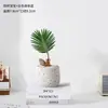 Planta Bebê de Ipê em Vaso, uma Ferramenta de Alívio de Estresse para Desktop para Trabalhadores, Fácil de Cultivar Hidroponicamente, Pequena Planta Verde Tolerante à Sombra para Banheiros