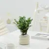 Plantas Pequenas em Vasos para Interior Bbk, Plantas Verdes Fáceis de Cuidar para Mesas de Escritório, Bonsai Florido para Todas as Estações