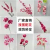 Decoração de Casamento com Materiais Florais Vermelho-Rosa, Folhas Artificiais, Rosas e Arranjos Florais para o Salão do Casamento e Painel de Fundo