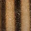 Mink Estampa Degradê Bolinhas Xiaomi Mink Vison Europeu Xiaomi Mink Bolsa Boneca Xiaomi Casaco Pelúcia Atacado