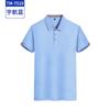 Camiseta Profesional para Maestro Logo Personalizado Camisa Polo de Manga Corta Ropa de Trabajo Bordado Personalizado Camiseta Publicitaria Ropa de Trabajo