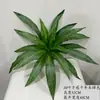 Planta Táctil Real Hoja de Calathea Caparazón de Tortuga Hotel Restaurante Exhibición Paisaje de Palmera Decoración de Pared Verde
