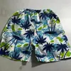 Pantalones de playa para hombre puesto al por mayor shorts de secado rápido holgados cinco comercio exterior flotar surfear playa natación mercado nocturno