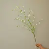 2026 Nuevo Modelo Plantas Verdes Artificiales Hierba de Espárrago Asparagus Asparaginea Decoración de Boda Flores Falsas Verdes Paisajismo Fotografía Plantas Verdes Estilo Bosque