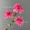 Nova Rosa Vermelho Tema Casamento Simulação de Casamento Flor Casamento Auditório Teto Decoração Falsa Flor Fotografia Adereços