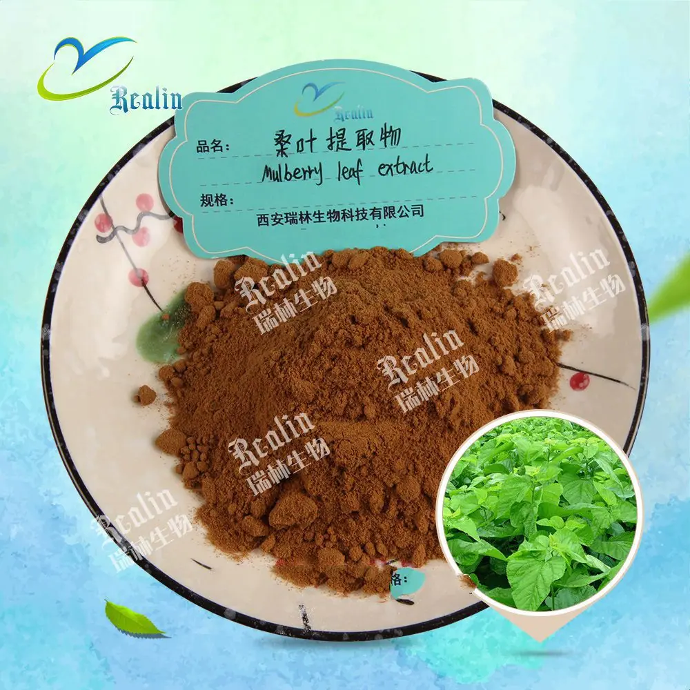 桑叶提取物原料+粉末6