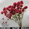 Arte Floral para Casamento Flor Vermelha Material de Fundo Decoração Ikebana Rosa Eucalipto Arranjo para Sala de Estar Interna