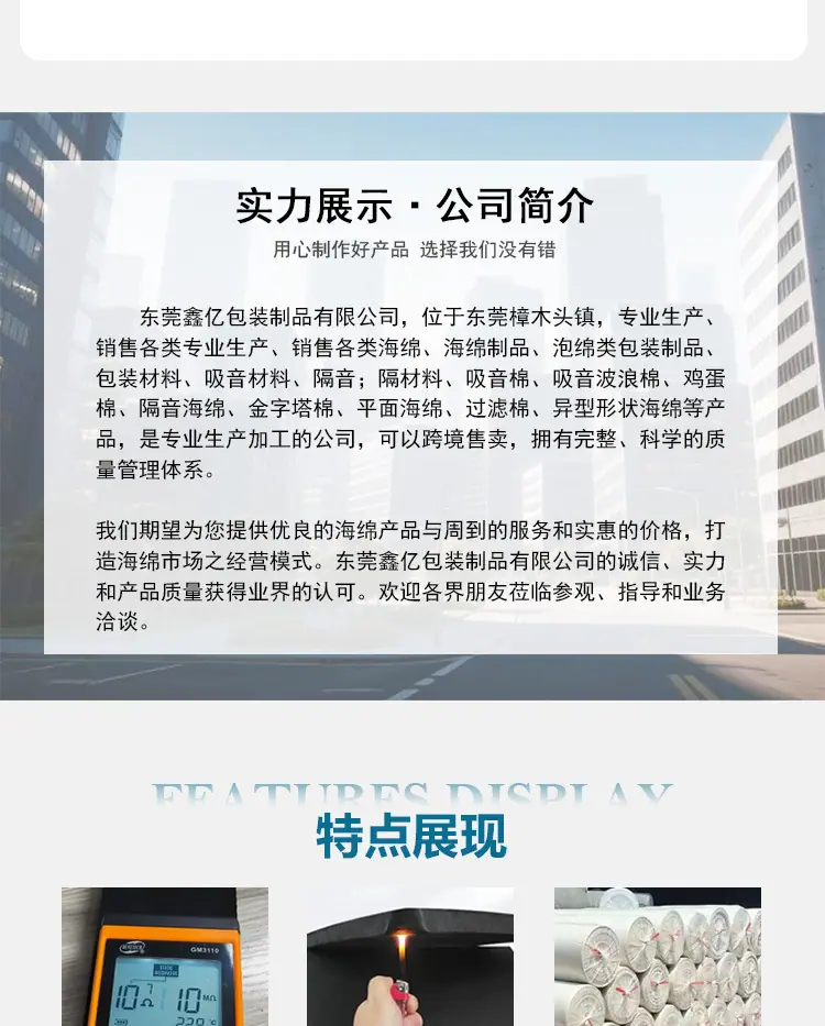 EVA详情_09.jpg