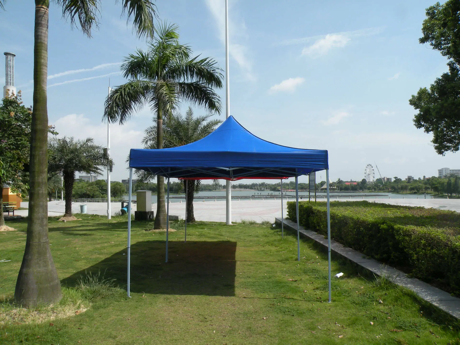 DSCN5836