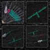 Aohu Bulk 7+2 - Señuelo de silicona transparente Space Bean Spot Shadowless Bean Aqua Green Competitive Bean, accesorios de pesca, equipo de pesca