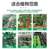 Fertilizante vegetal especializado 200g 500g fertilizante orgânico para frutas e vegetais fertilizante composto grânulos fertilizante de liberação lenta atacado