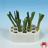 Kit de planta hidropónica de cebolleta más vendido transfronterizo, sin tierra, sin necesidad de habilidades, cosecha rápida, para balcón, alféizar, caja de cultivo para el hogar