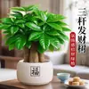 Árbol del Dinero Planta en Maceta: Atrae Riqueza y Prosperidad, Bonsái de Escritorio, Planta Verde de Oficina, Sala de Estar Interior, Estilo Zen Chino, Planta de Cuatro Estaciones