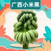 Guangxi prohíbe los plátanos verdes y los plátanos Xiaomi. Venta al por mayor y entrega disponibles para plátanos enteros de 2/3/5/4.5 kg con tallo, fruta dulce y fresca