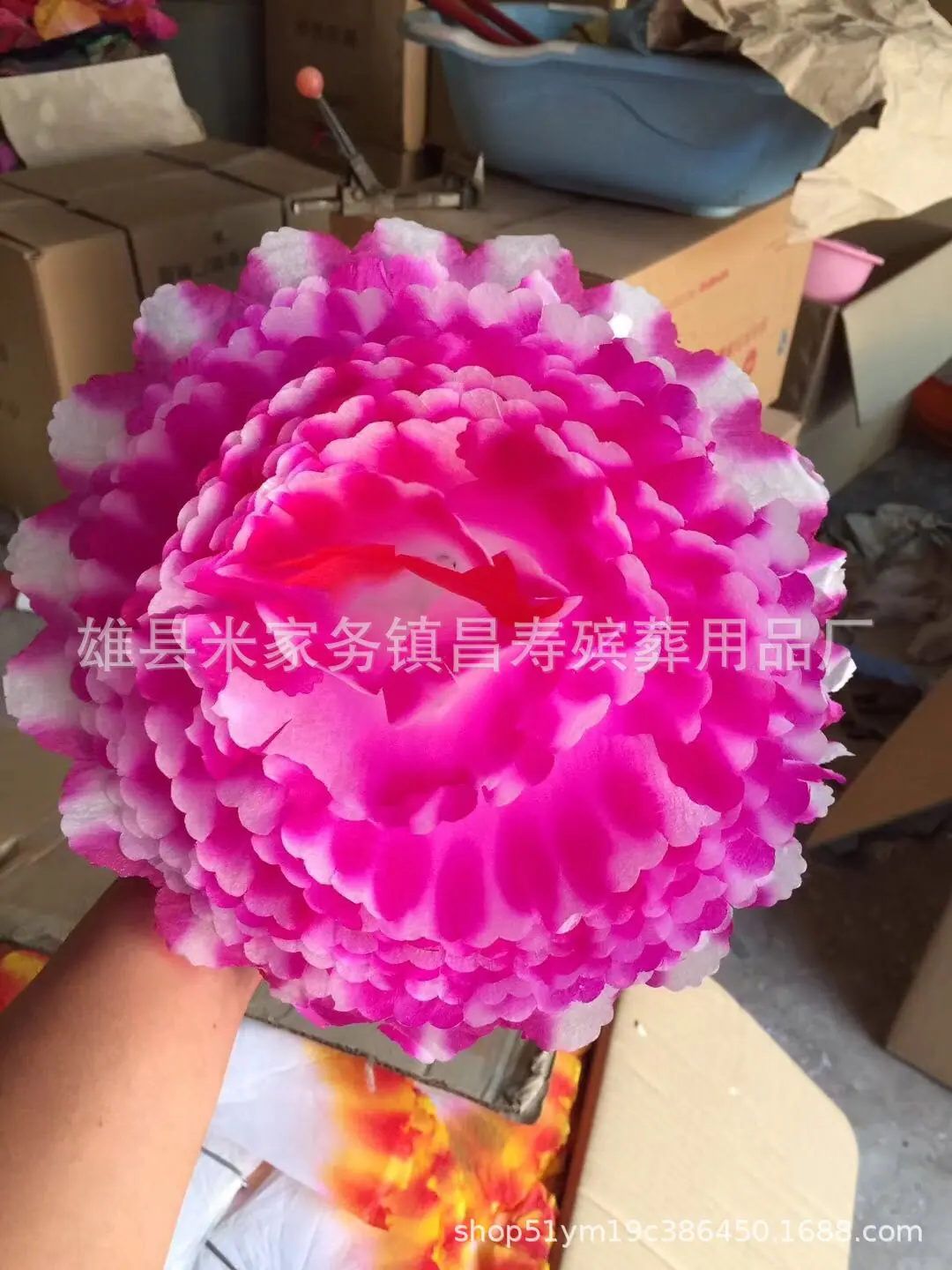 mmexport1549710157227