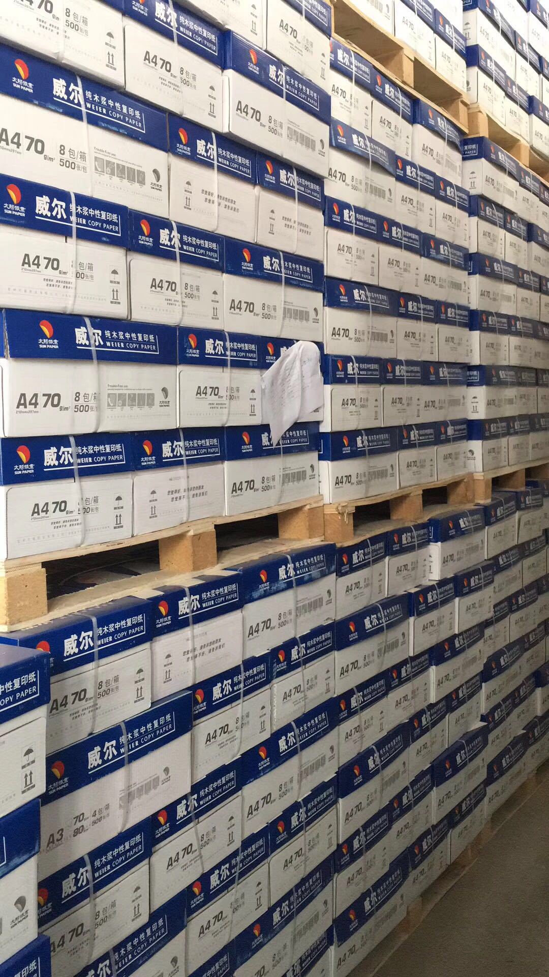 9F7117D3FF12CCF381B6E7D4DC3F38