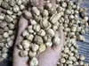 Colección de Especias: Anís estrellado, Canela, Hinojo, Pimienta, Comino, Adobo, Uso Comercial y Doméstico, Condimentos al por Mayor, Opciones Variadas, Pimienta de Sichuan, Chile