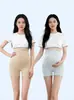 Pantalones de Seguridad de Maternidad 2026 Nuevo Modelo de Verano Dos en Uno Cintura Alta Soporte Abdominal Tallas Grandes Sin Costuras Delgados Anti-Exposición Leggings