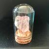 Venta al por mayor de adornos minerales de cristal de roca en bruto, regalo educativo de ciencias para niños, colección de muestras de mineral.