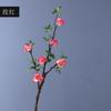 Estilo Chinês Pastoral Simulado Flor de Inverno Espuma Planta Verde Galho Haste Haste Longa Galho Grande Flor de Inverno Seca Sala de Estar Interna Flor Artificial