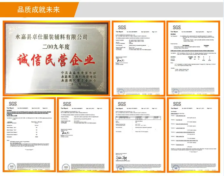 5公司证书 荣誉