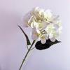 Flor Artificial sentido molhado hortênsia avançada textura de filme impressão 3D clara salão de casamento Paisagem Guia adereços de fotografia