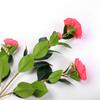 Flores artificiales, flores falsas, hojas individuales de eucalipto, plantación verde, camelia, decoración, adornos para sala de estar, material para arreglos florales, hogar, boda