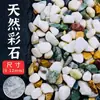 Pedrinhas para Aquário de Peixes Bonsai Paisagismo, Pedras Cobertura de Solo para Suculentas, Cultivo de Flores, Pedras Flor de Chuva, Decoração de Jardim, Pedrinhas Brancas Pequenas