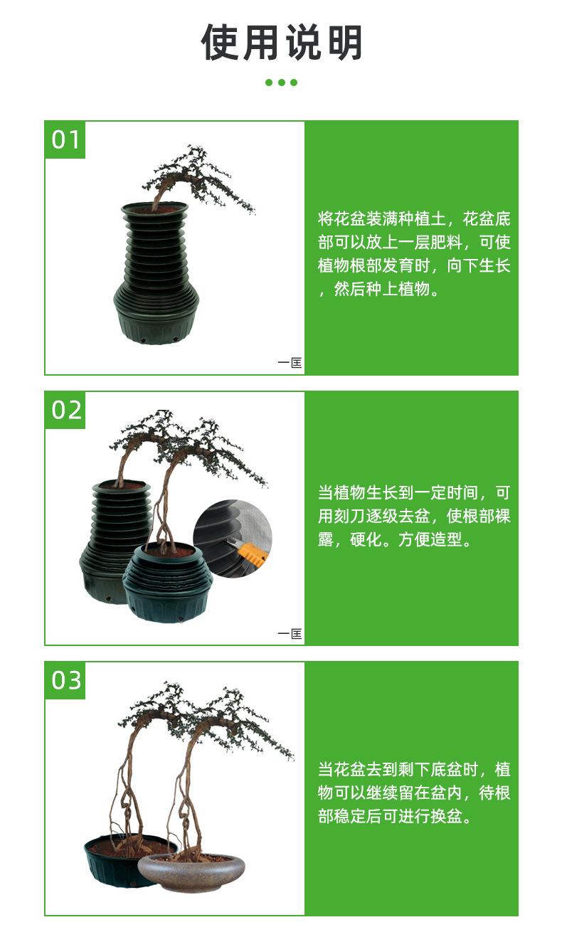提根植物培育盆