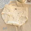 Calcinha Feminina Plus Size Algodão Puro Estampa Retrô 10A Antibacteriana Gancho Estendido Elástica que Abraça o Quadril Floral para Meninas