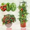 Suporte de Flores com Tubo de Aço Revestido de Plástico Haste de Suporte para Plantas Trepadeiras Vaso de Flores Clematite Pitaya Tomate Estrutura de Suporte Fixo