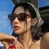 Novos Óculos de Sol Retrô da Moda Europeus e Americanos, Transfronteiriços, Anti-UV, Tendência, Óculos Lisos Estilo de Rua, Óculos de Sol Gatinho para Mulheres