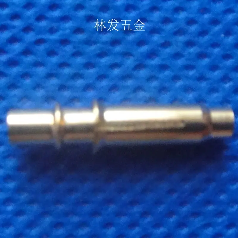 DSC04669.JPG