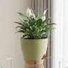 Vaso de Flores Autoirrigável Mais Vendido da Amazon, Vaso de Flores de Plástico Sem Rega para Pessoas Preguiçosas, Vaso de Flores para Plantas Verdes e Petúnias