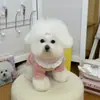 Sudadera Rayada de Encaje con Decoración Floral, Sudadera Cálida para Mascotas de Otoño e Invierno, Ropa Suave y Cómoda para el Hogar para Perros