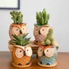 Dongheng Maceta de Animales Estilo Japonés y Coreano Maceta Mini Pulgar Adornos Set de Búho Cambio de Horno Maceta para Suculentas con Base