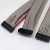 Cable de Conector Dupont de Doble Fila 2*10P Cable de Conector Dupont 2.0 Arnés de Cables Dupont de Doble Fila/Cable de Conector Dupont