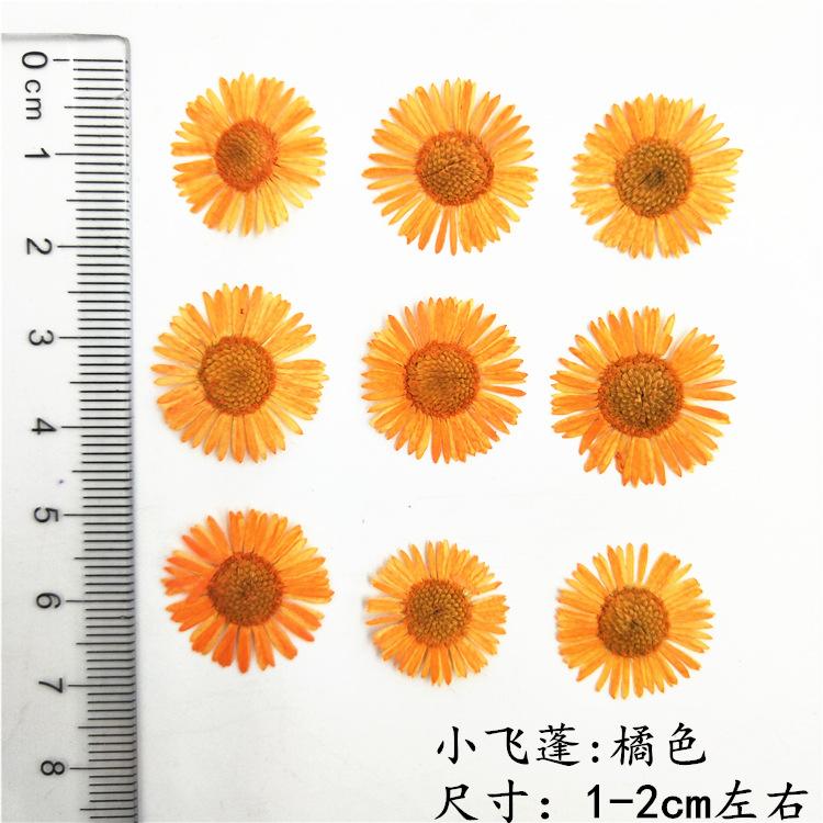 IMG20190111103741