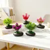 Suministro Directo Transfronterizo Mini Plantas Verdes Flores Falsas Plantas en Maceta Simulación Piedras Decorativas Maceta Plana Adornos Fotografía Foto Mini Bonsái Accesorios
