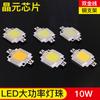 Atacado 10W Alta Potência Alto Brilho Fonte de Luz LED Integrada Lâmpada Floodlight LED Contas de Lâmpada Economia de Energia Espectro Completo