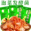 Kimchi, chucrut, bacterias del ácido láctico, polvo de fermentación de kimchi, polvo de fermentación de chucrut casero, kimchi picante