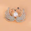 Accesorios de broche de diamante de aleación creativos para adultos, broche de moda versátil, ropa, corsage hueco, pasador de perla, venta al por mayor