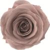 Caja de Joyería Cuadrada de Flores Eternas, Caja para Anillo Flor de Rosa de Cristal, Regalo de Boda San Valentín con Flores Secas, Accesorios de Decoración para Puesto