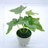 Venda Quente Transfronteiriça Flor Artificial Planta Verde Falsa Casa Sala de Estar Mesa de Escritório Folha de Batata Doce Sempre-Viva Folha de Tartaruga Folha de Taro Planta em Vaso