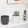Maceta de cerámica carnosa para jardín, balcón, sala de estar, plantación de plantas en maceta, moderna y sencilla, directa de fábrica