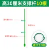 Suporte para Orquídea Phalaenopsis Haste de Suporte para Planta de Orquídea Suporte Retificador de Fibra de Vidro Haste de Fixação para Planta Trepadeira